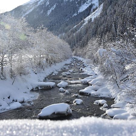 Haus Marco Lejlighed Neustift im Stubaital Eksteriør billede