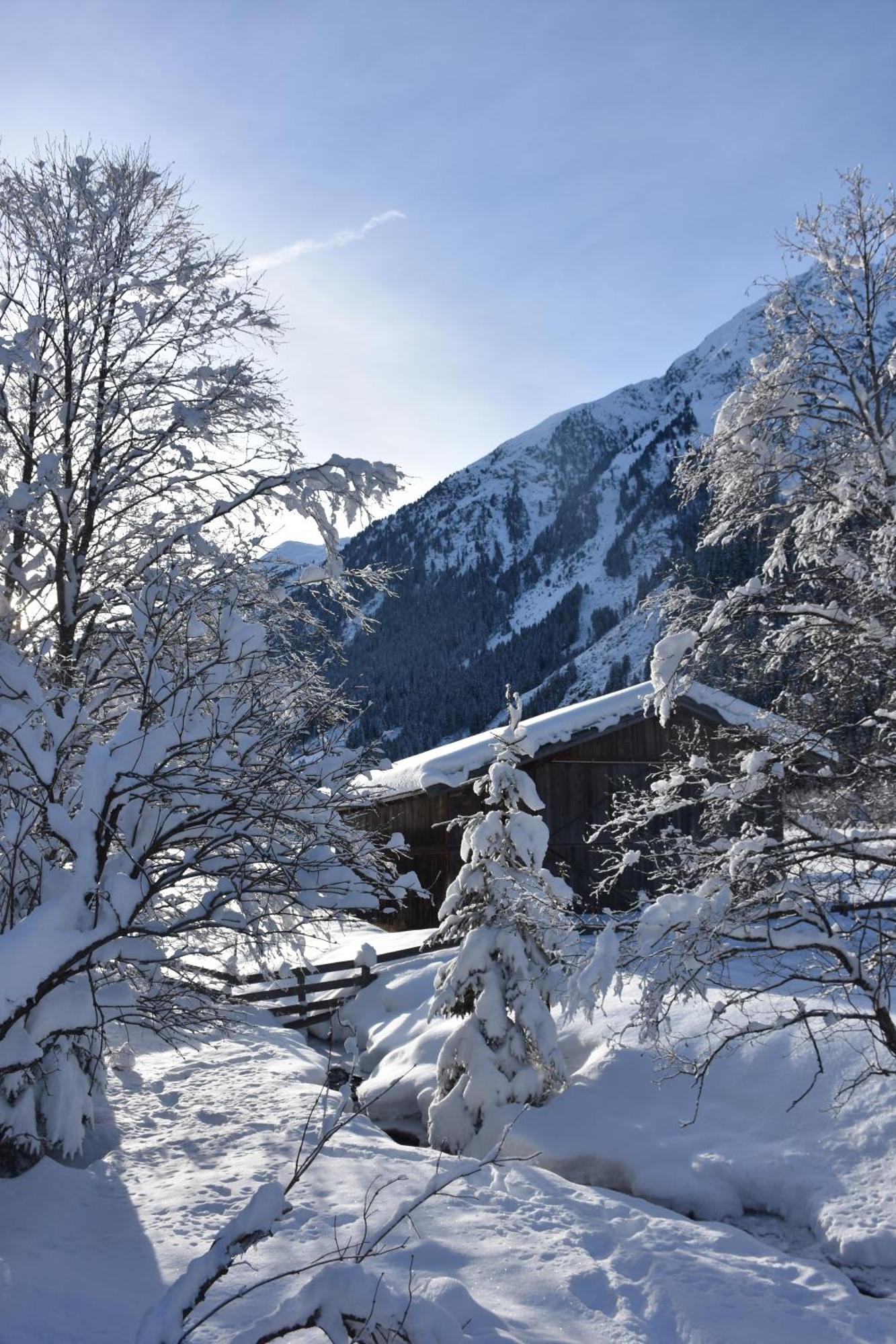 Haus Marco Lejlighed Neustift im Stubaital Eksteriør billede