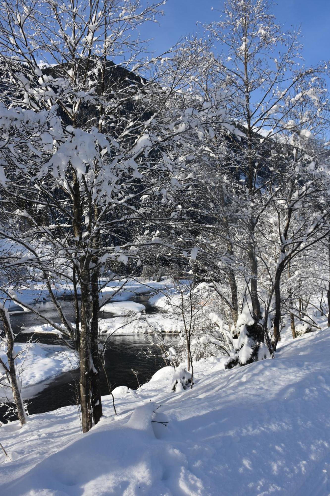 Haus Marco Lejlighed Neustift im Stubaital Eksteriør billede