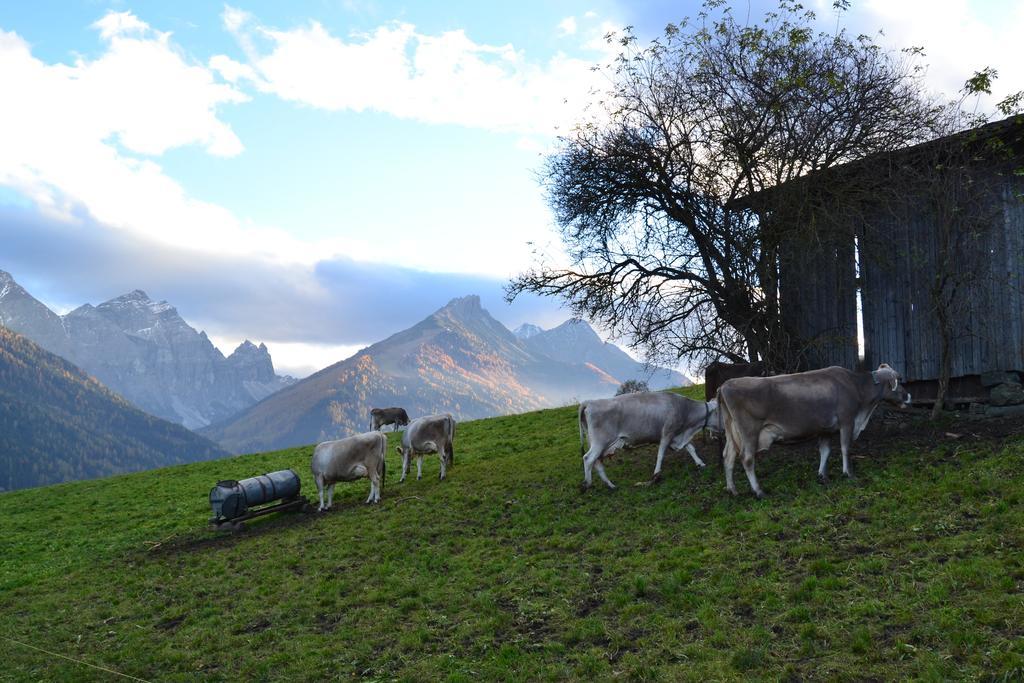 Haus Marco Lejlighed Neustift im Stubaital Eksteriør billede