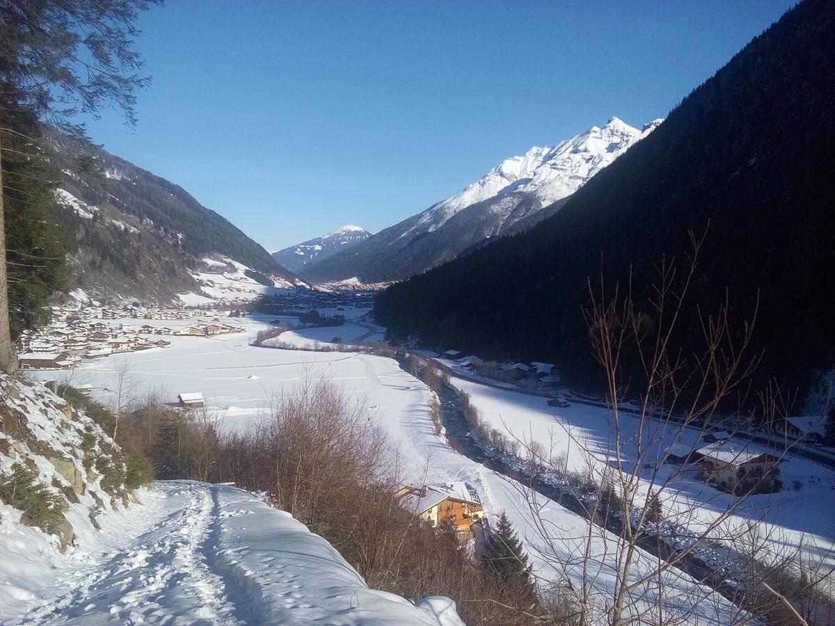 Haus Marco Lejlighed Neustift im Stubaital Eksteriør billede