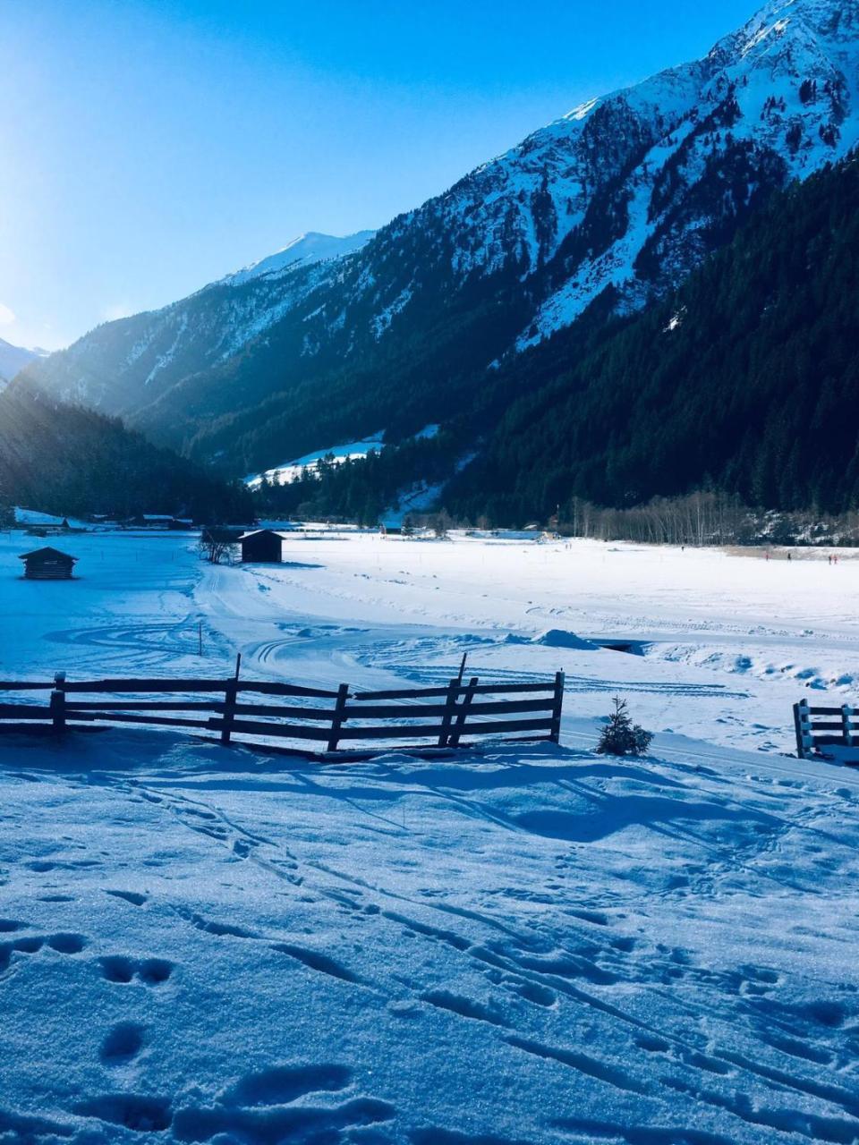 Haus Marco Lejlighed Neustift im Stubaital Eksteriør billede