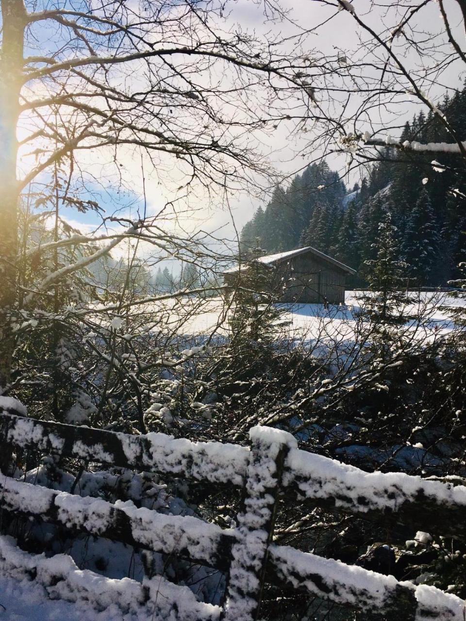 Haus Marco Lejlighed Neustift im Stubaital Eksteriør billede