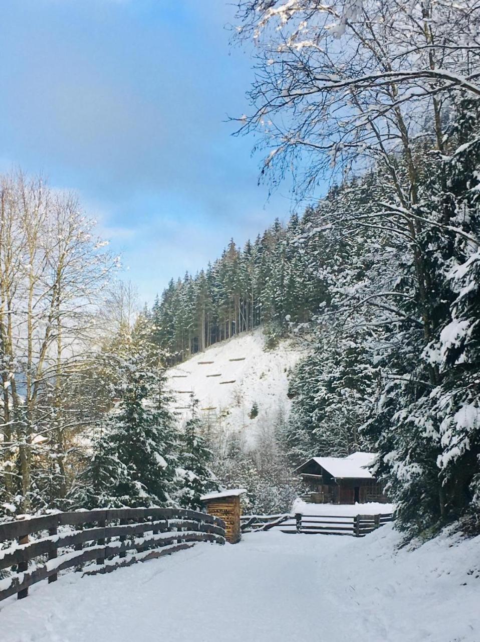 Haus Marco Lejlighed Neustift im Stubaital Eksteriør billede