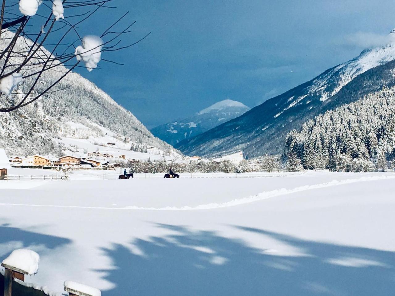 Haus Marco Lejlighed Neustift im Stubaital Eksteriør billede