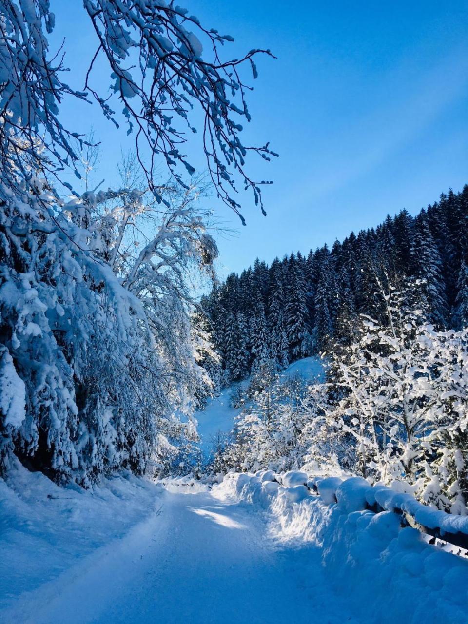 Haus Marco Lejlighed Neustift im Stubaital Eksteriør billede